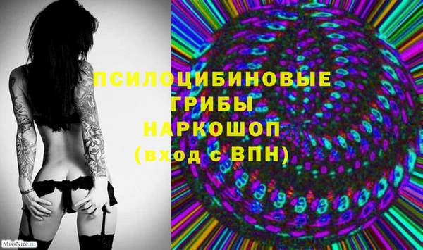 ГАЛЛЮЦИНОГЕННЫЕ ГРИБЫ Алексеевка