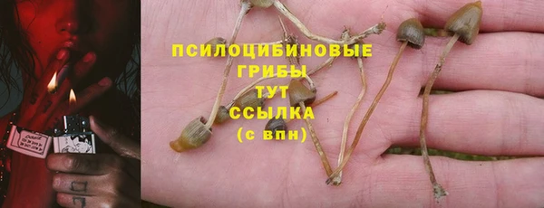 амф Алексин