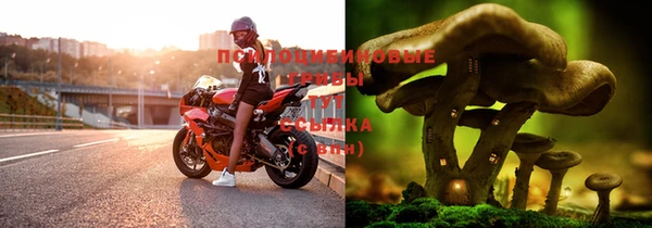 ГАЛЛЮЦИНОГЕННЫЕ ГРИБЫ Алексеевка