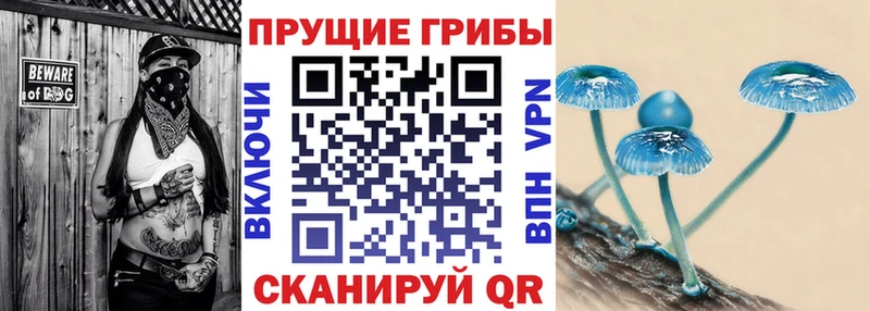 omg как войти  Котово  Галлюциногенные грибы GOLDEN TEACHER  где можно купить  