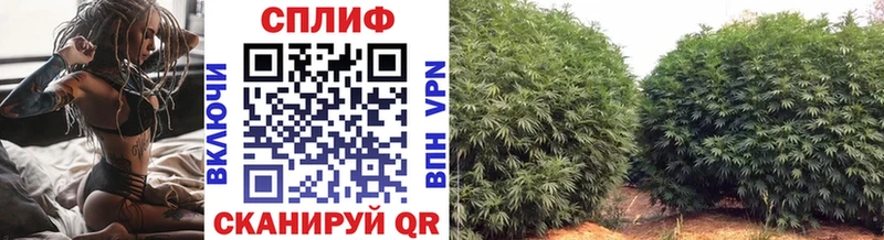 продажа наркотиков  МЕГА как войти  Шишки марихуана AK-47  Котово 